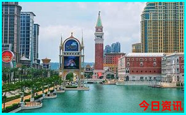 哪里可以看海鸥的旅游景点